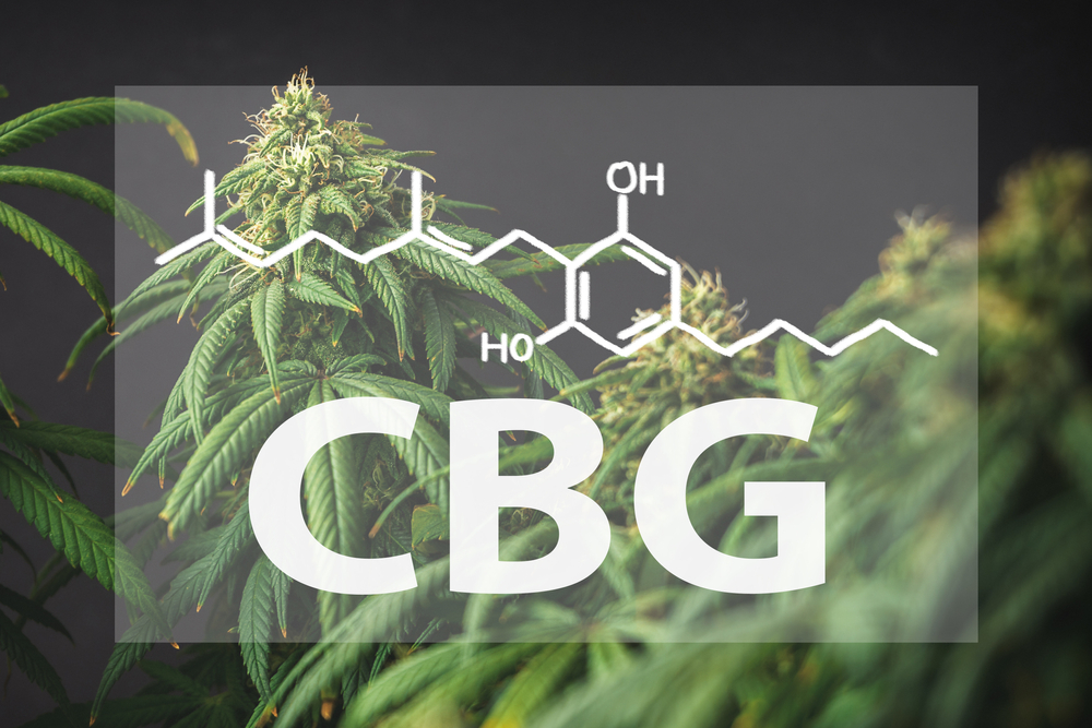 How To Choose The Right CBG Strain For You